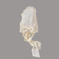 Abito lungo Battesimo organza e tulle ricamato